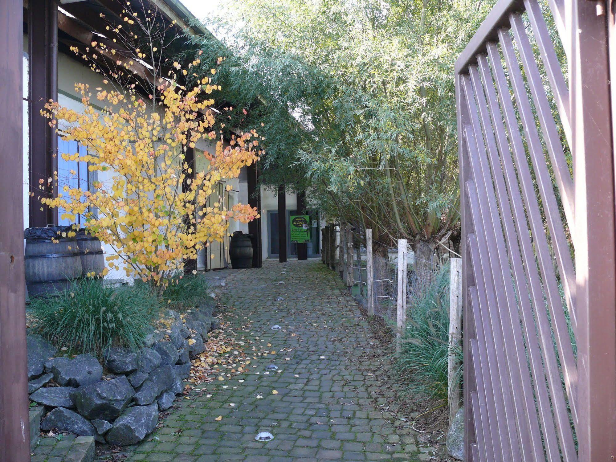 La Ligule Villa Mignault Exteriör bild